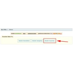 Newsletter Maker Pro Módulo Prestashop